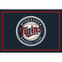 Minnesota Twins Spirit