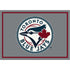 Toronto Blue Jays Spirit