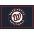 Washington Nationals Spirit