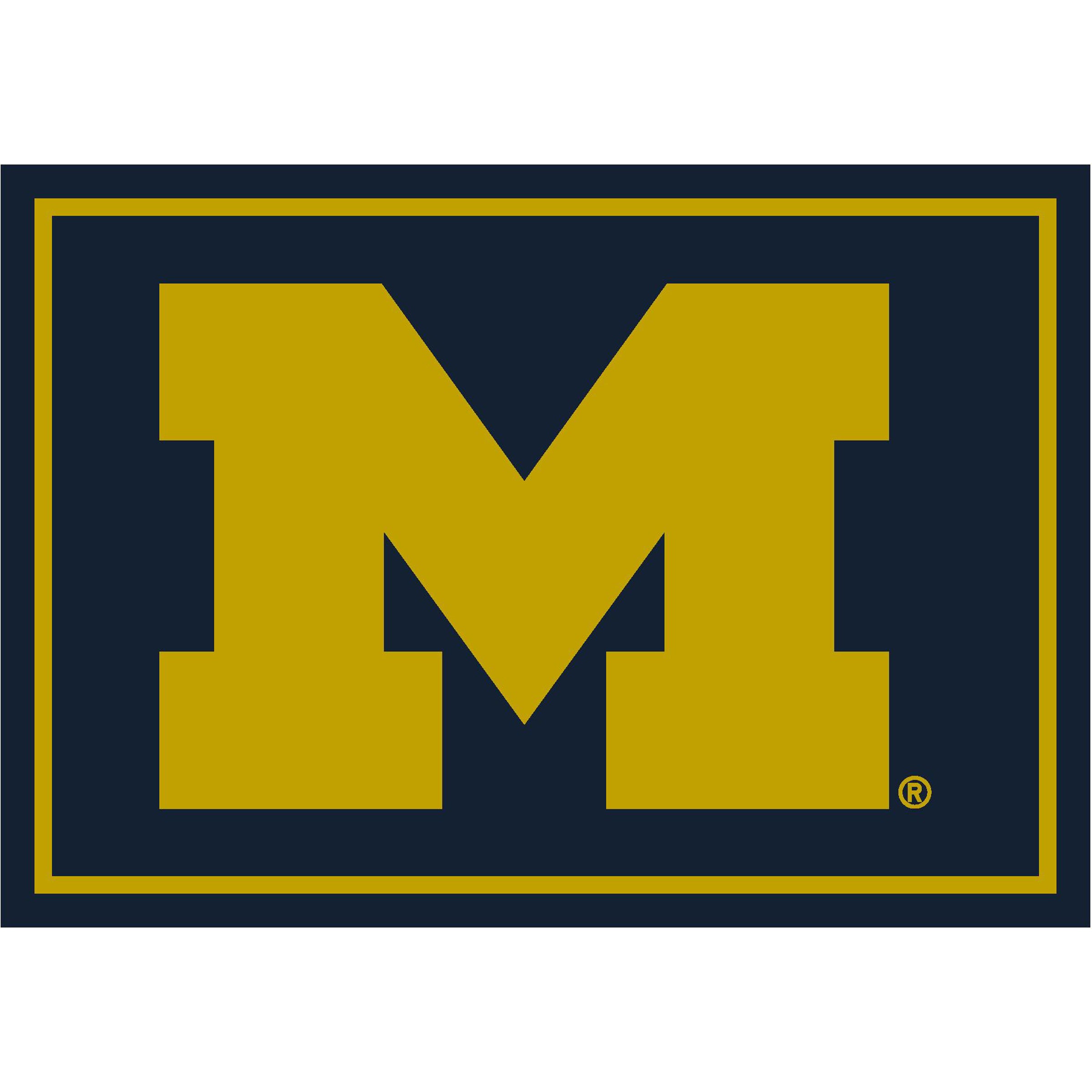 University Of Michigan Spirit