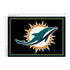 Miami Dolphins Spirit