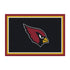 Arizona Cardinals Spirit