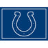 Indianapolis Colts Team