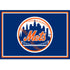 New York Mets Team