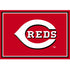 Cincinnati Reds Team