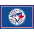 Toronto Blue Jays Team