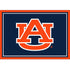 Auburn University Team