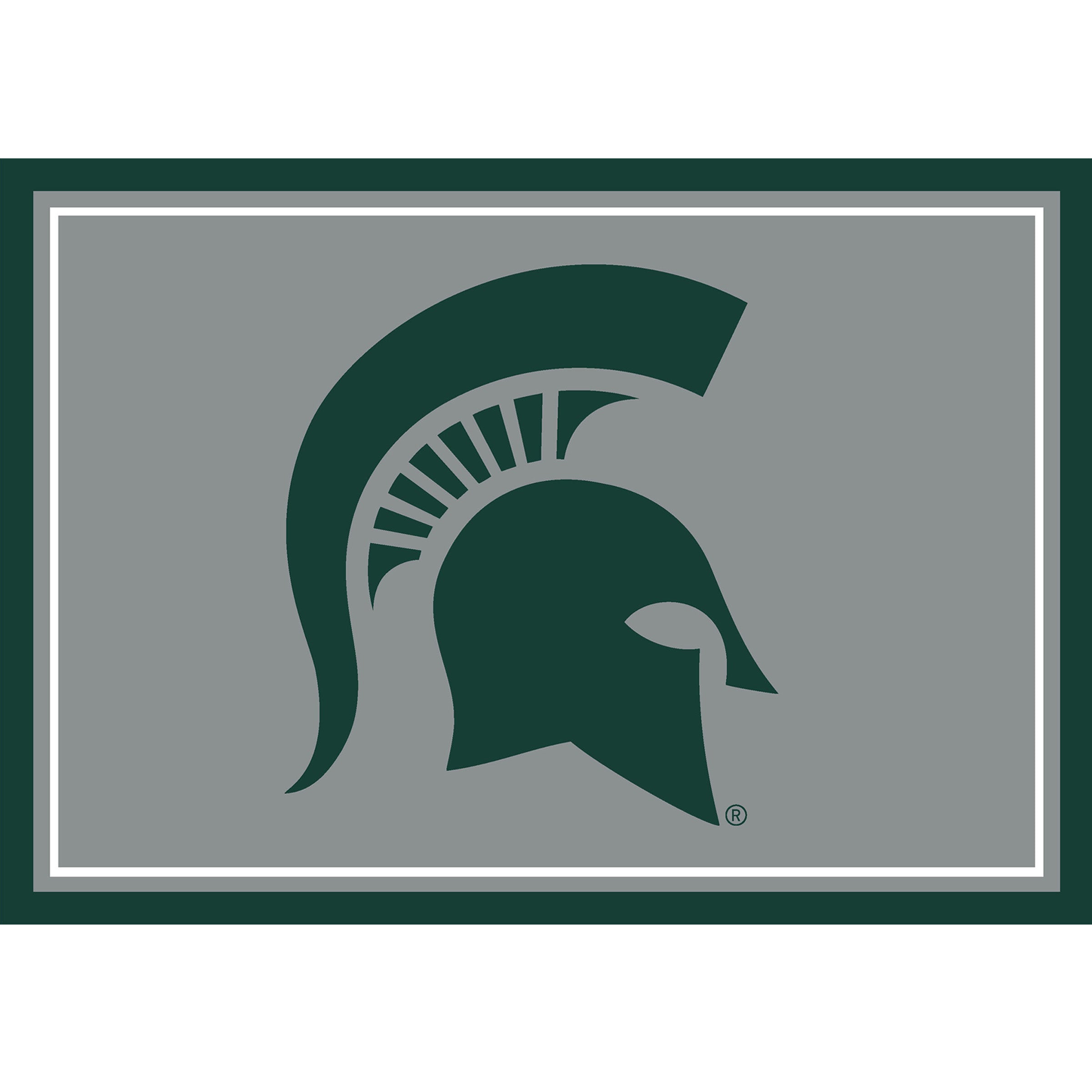 Michigan State Team