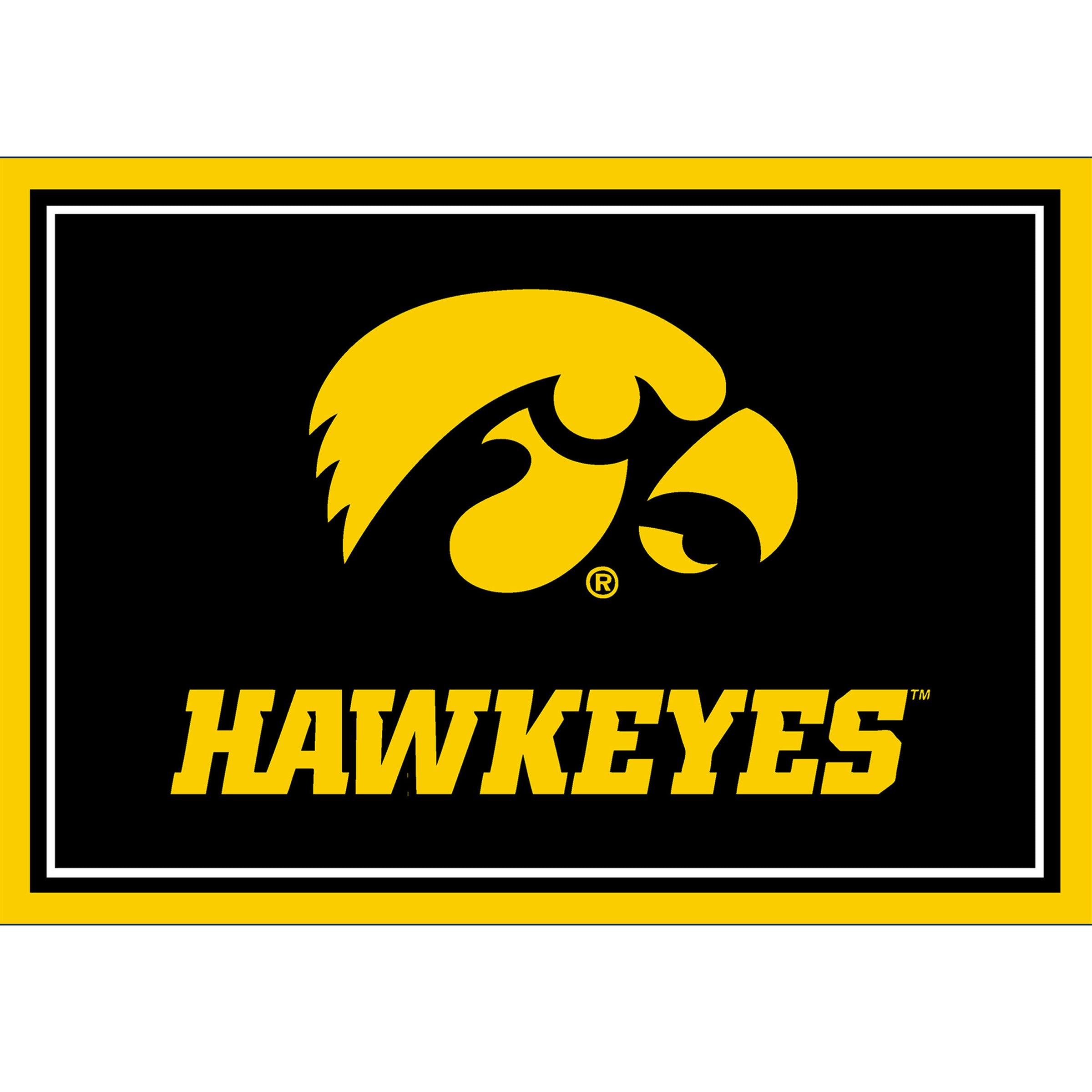 University Of Iowa Team