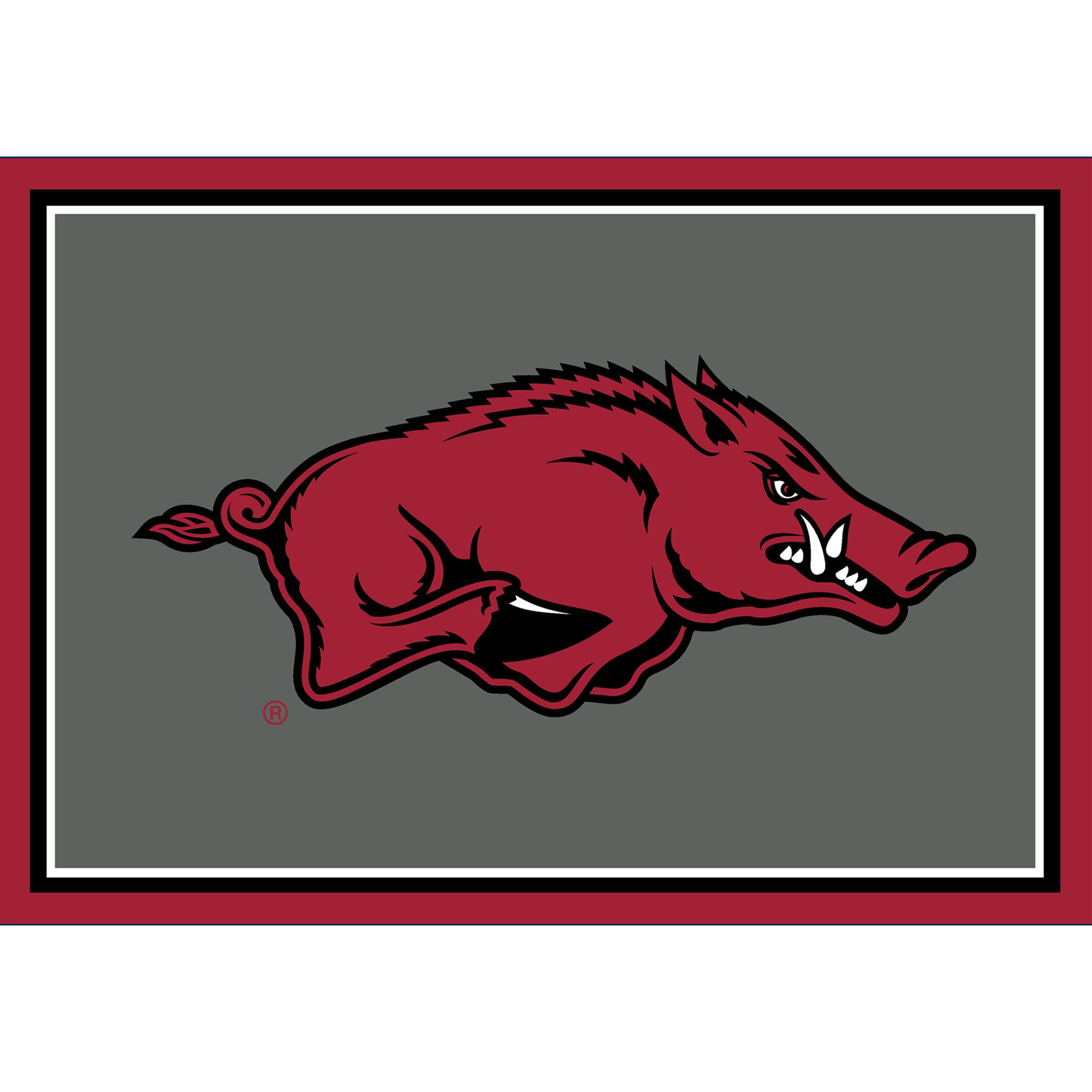 University Of Arkansas Team