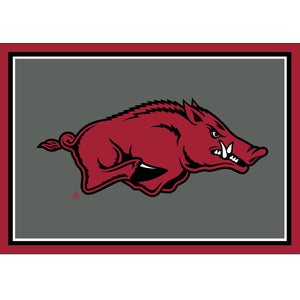 University Of Arkansas Team