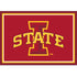 Iowa State University Team