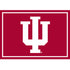 Indiana University Team