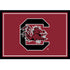 University Of South Carolina Team