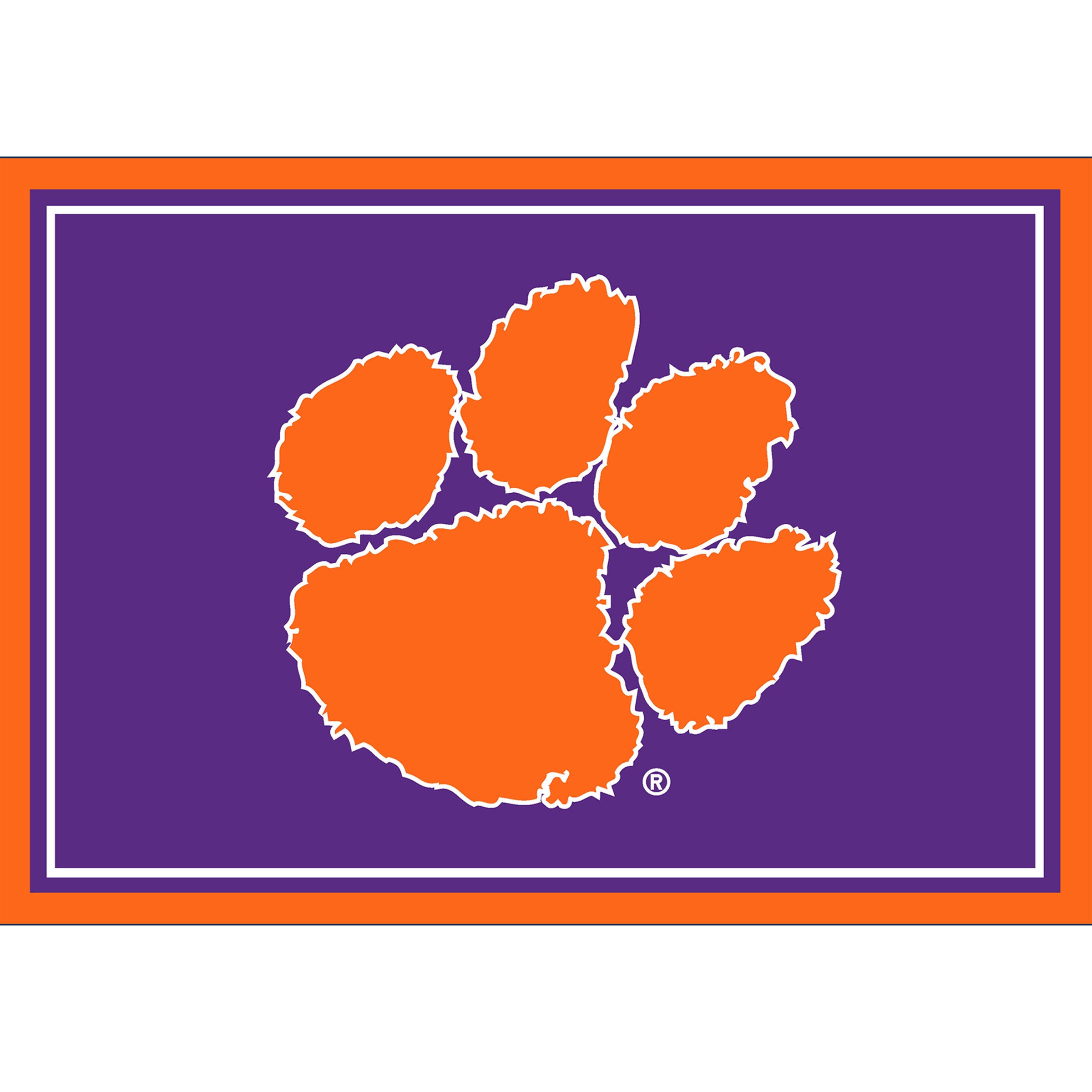 Clemson University Team