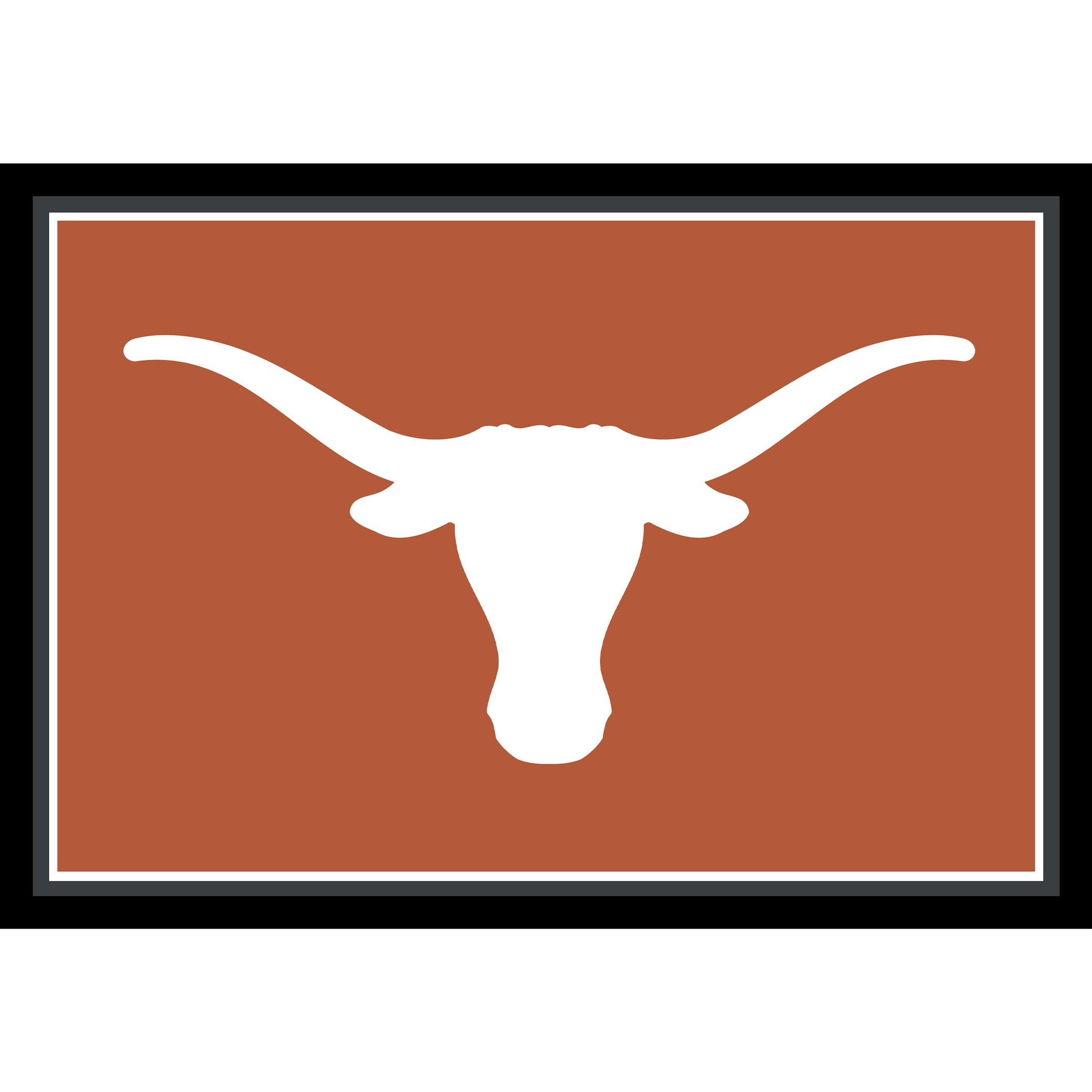 University of Texas Team