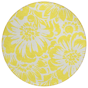 Chantille ACN551 Yellow