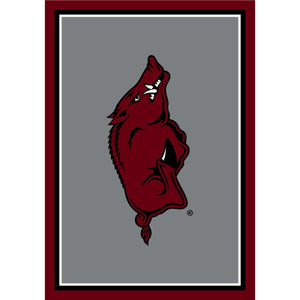 University of Arkansas Fayetteville 68884 College Spirit Rug