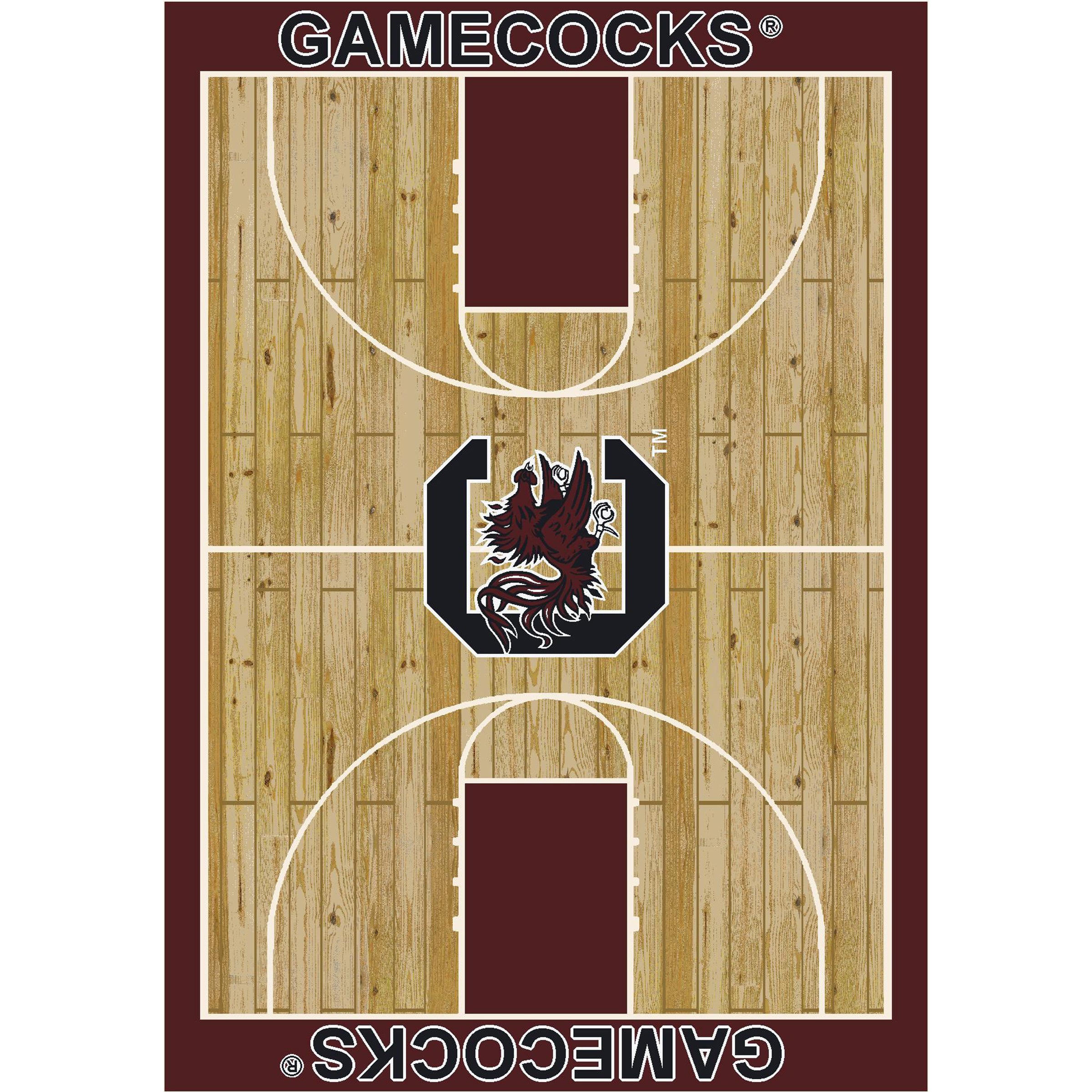 University of South Carolina 1350 College Court Rug