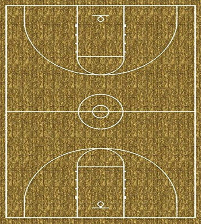 Theme Rugs 2 Hoopster Brown